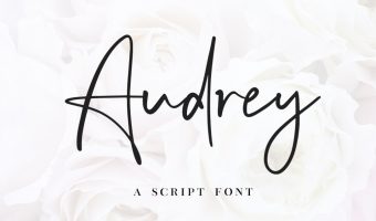 Audrey Font