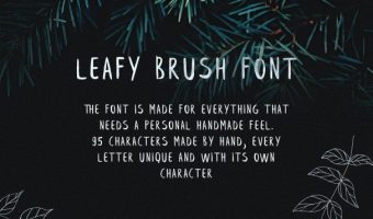 Leafy Brush Font