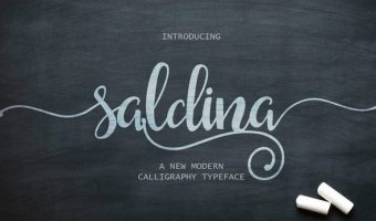 Saldina Font