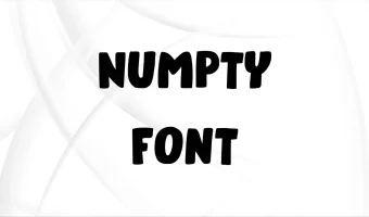 Numpty Font