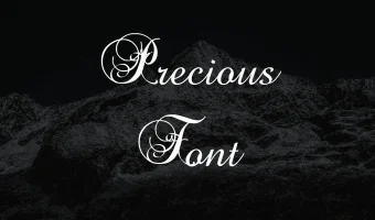 Precious Font