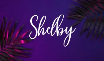 Shelby Font