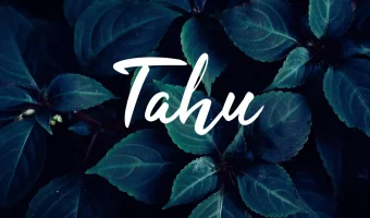 Tahu Font